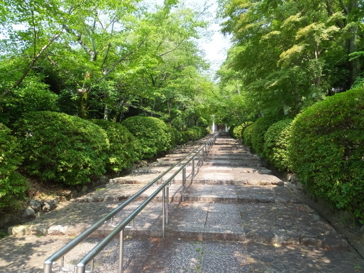 b0159780_11463496.jpg