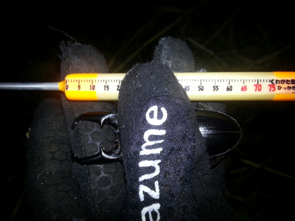 f0183484_00552334.jpg