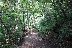 d0183387_01164748.jpg