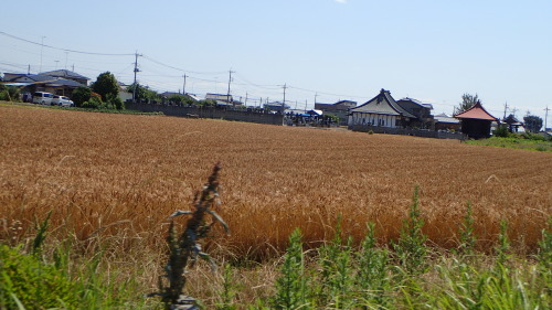 a0338094_05264900.jpg