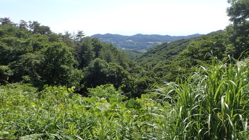 a0338094_05422195.jpg