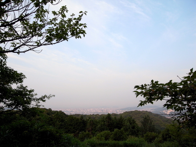 f0325295_07263986.jpg