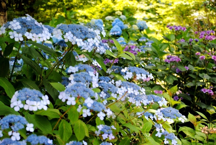 f0361605_21521901.jpg