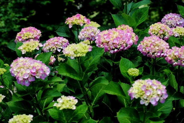 f0361605_21530050.jpg