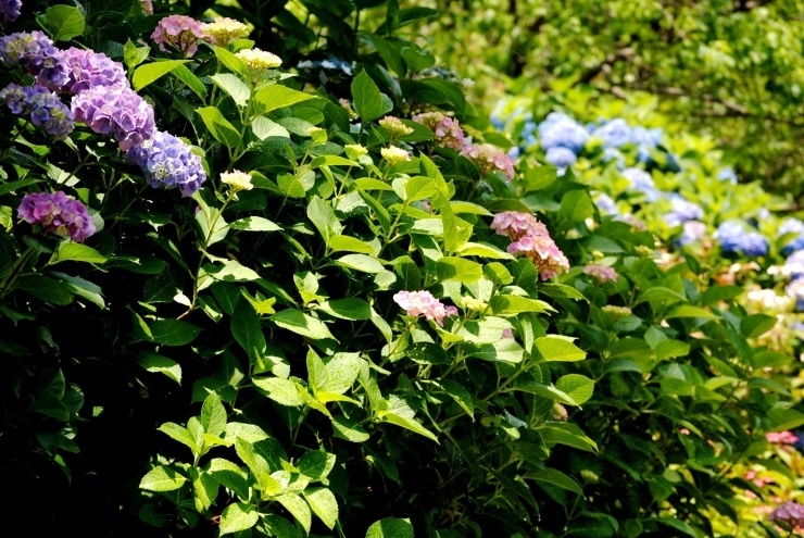 f0361605_21561178.jpg