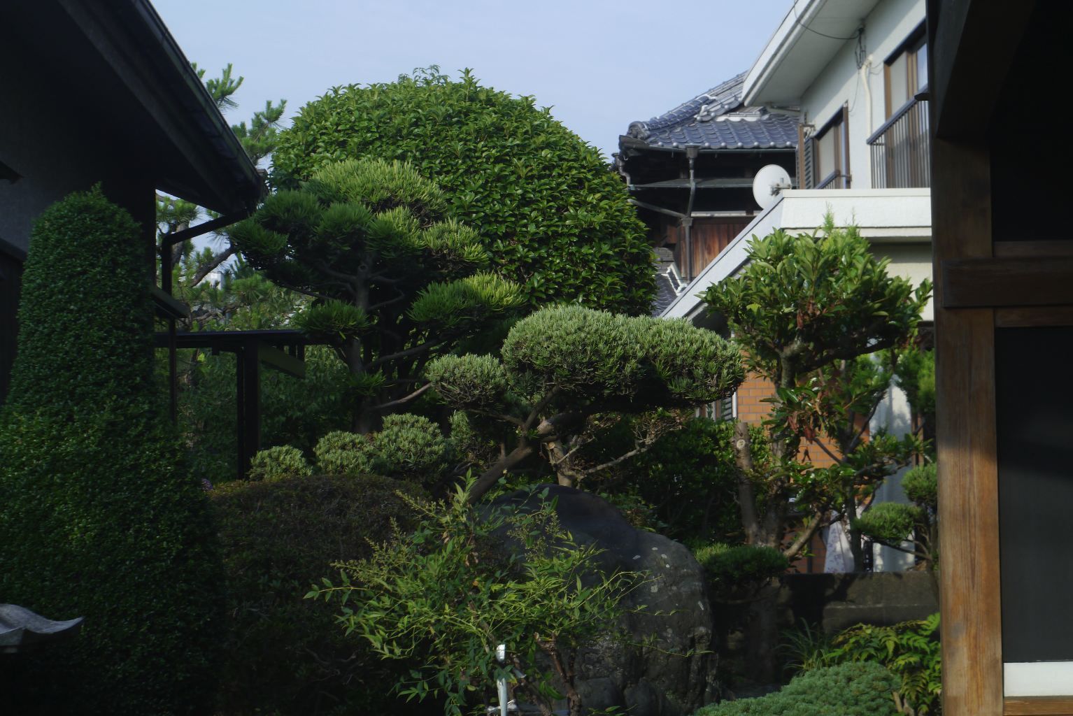 c0001613_06345811.jpg