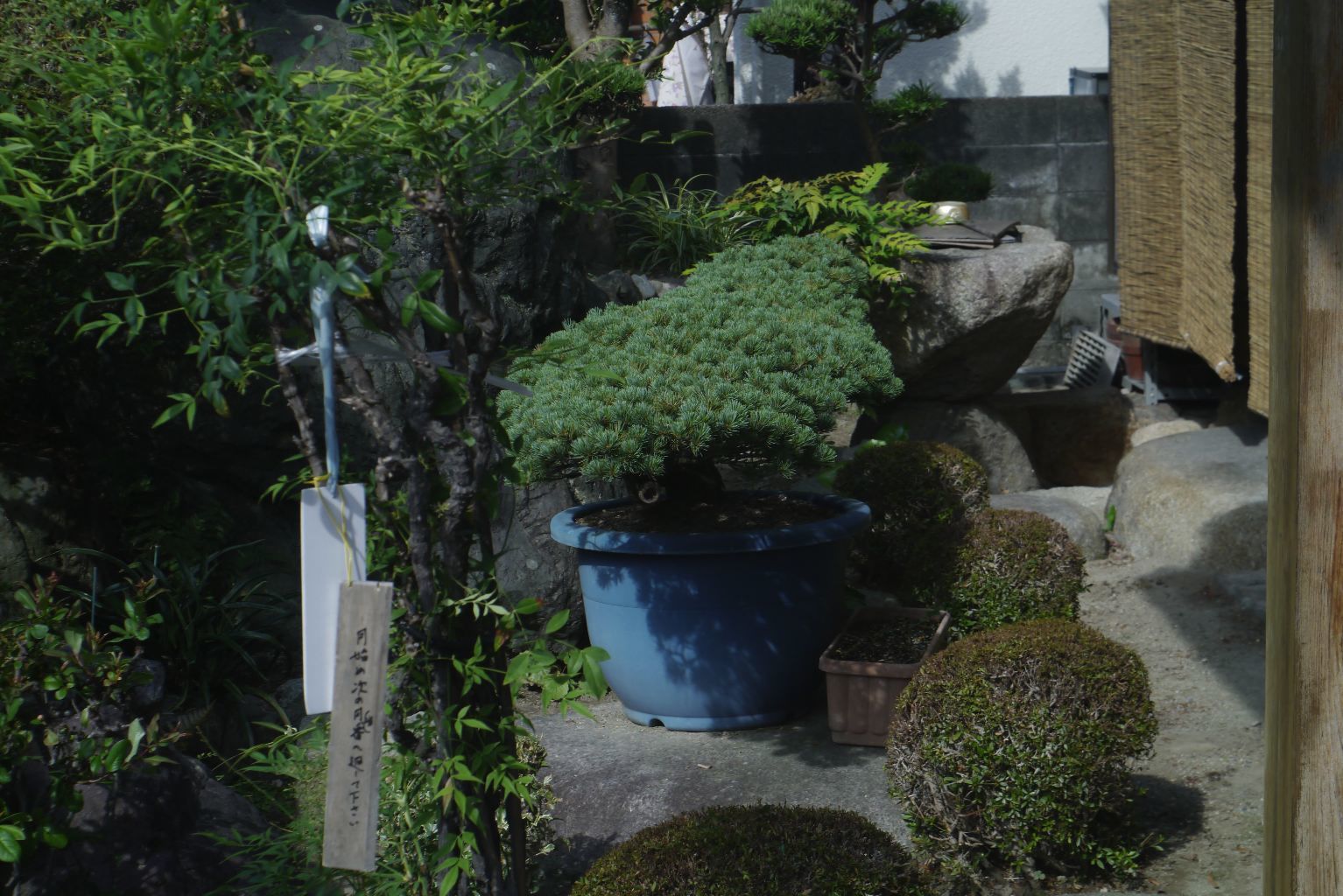 c0001613_08131642.jpg