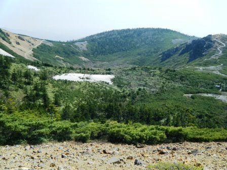 e0333313_18274955.jpg