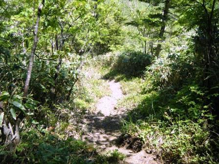 e0333313_19082508.jpg