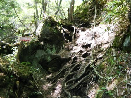 e0333313_19145208.jpg