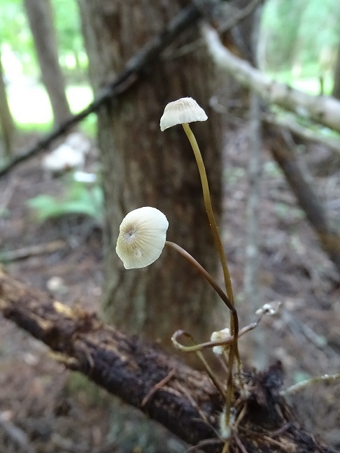 f0360815_16013319.jpg