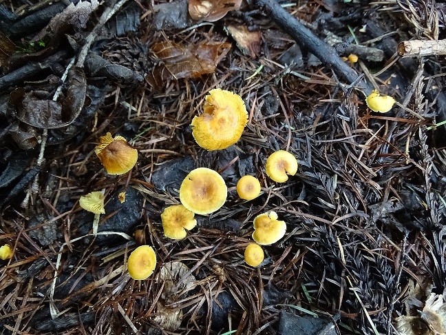 f0360815_16013390.jpg