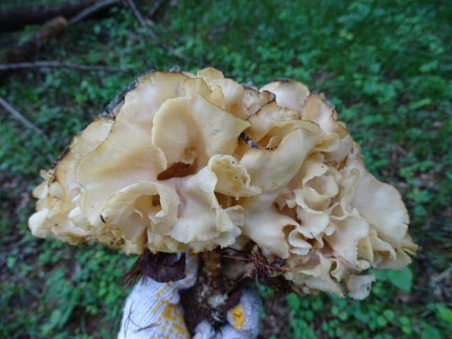 f0360815_16013416.jpg