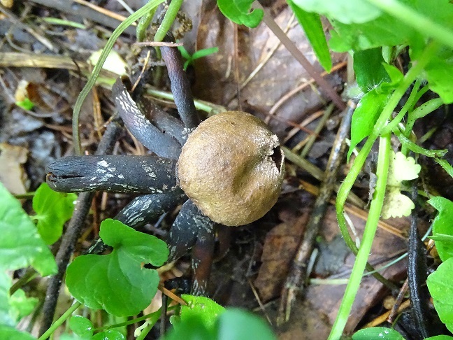 f0360815_16013547.jpg