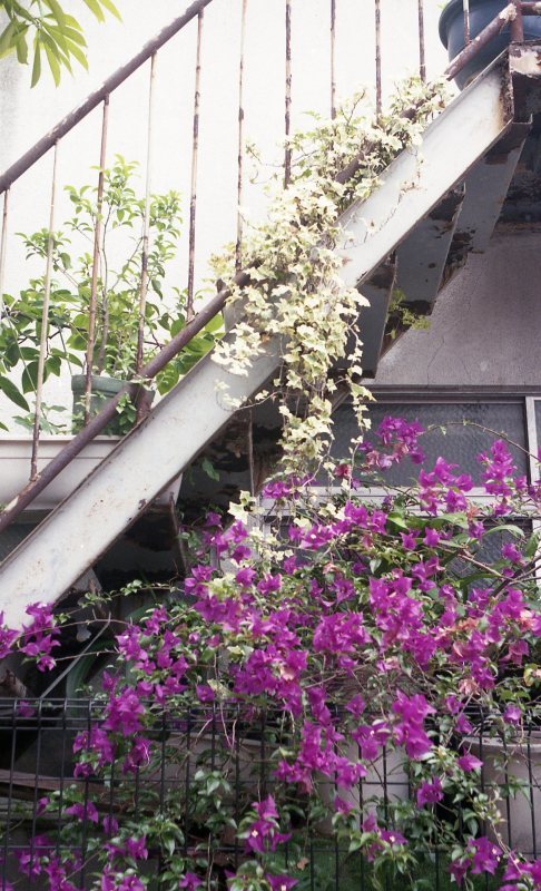 d0339617_22393937.jpg