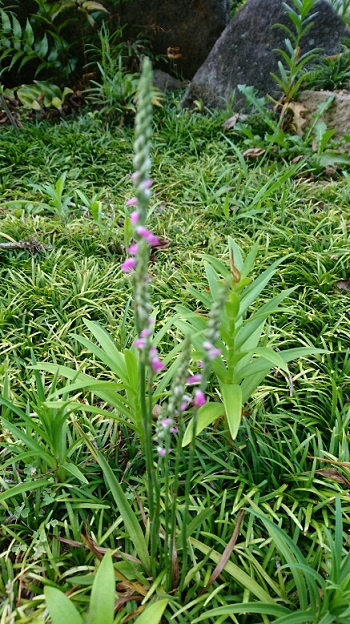 f0228619_071492.jpg