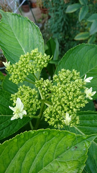 f0228619_092039.jpg