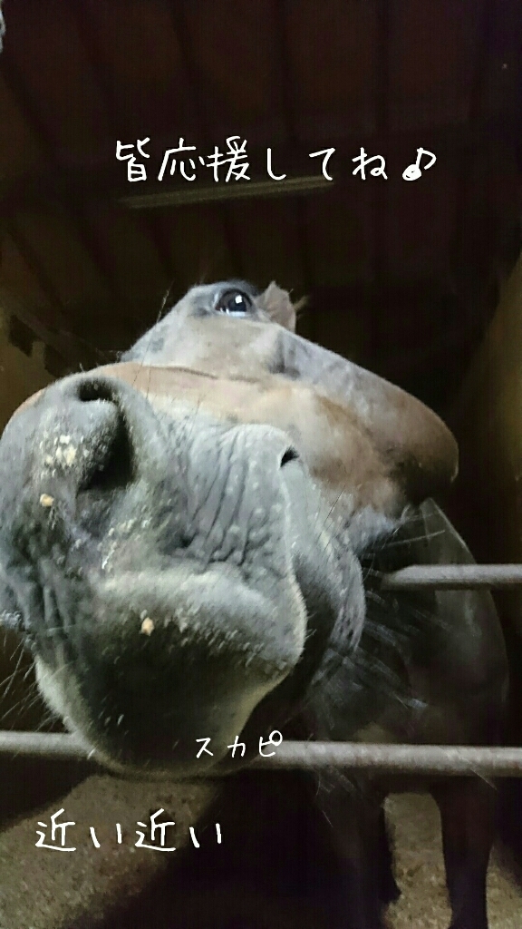 b0187620_20425698.jpg