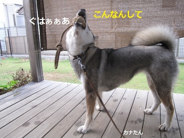 f0143123_09340450.jpg