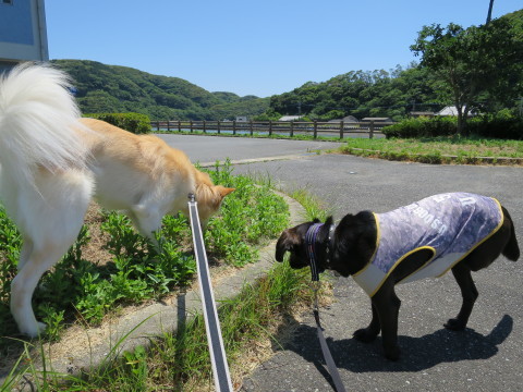 b0202125_00433687.jpg