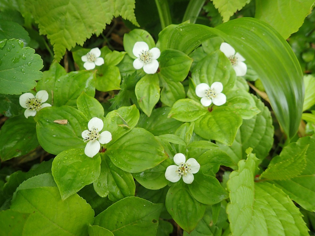 a0209630_07344841.jpg