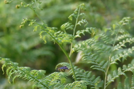 c0353632_22050850.jpg