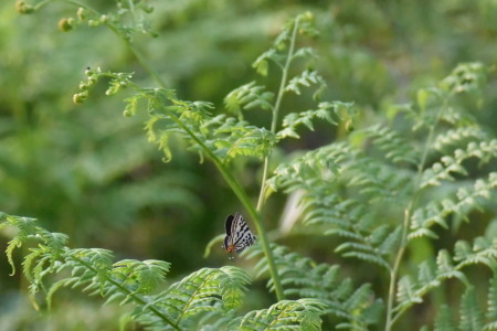 c0353632_22095055.jpg