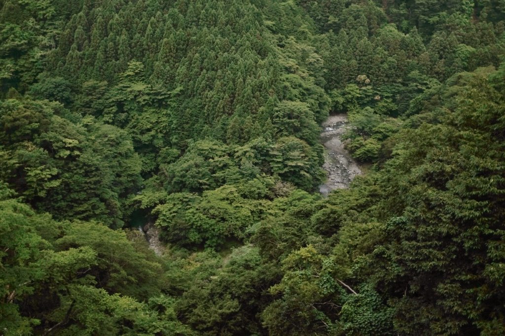 c0342534_22064203.jpg