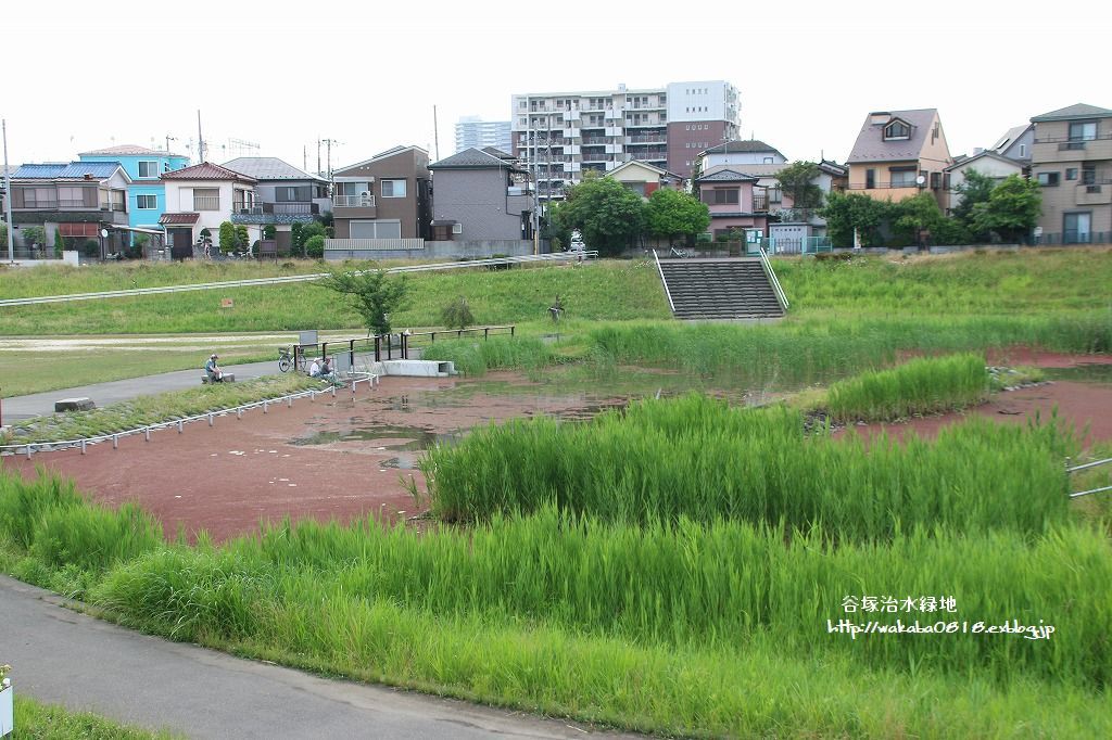 e0052135_22345095.jpg