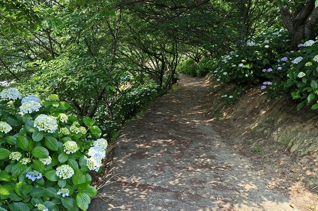 a0242438_21381115.jpg