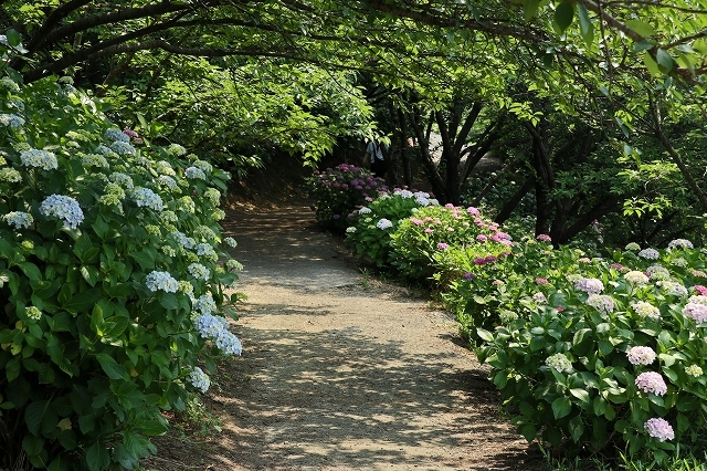 a0242438_21381165.jpg