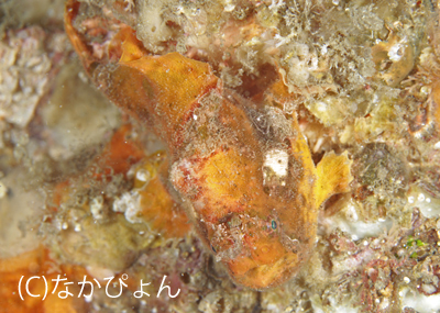 b0163039_17414011.jpg