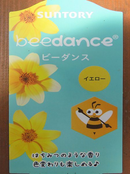 b0341140_1033153.jpg