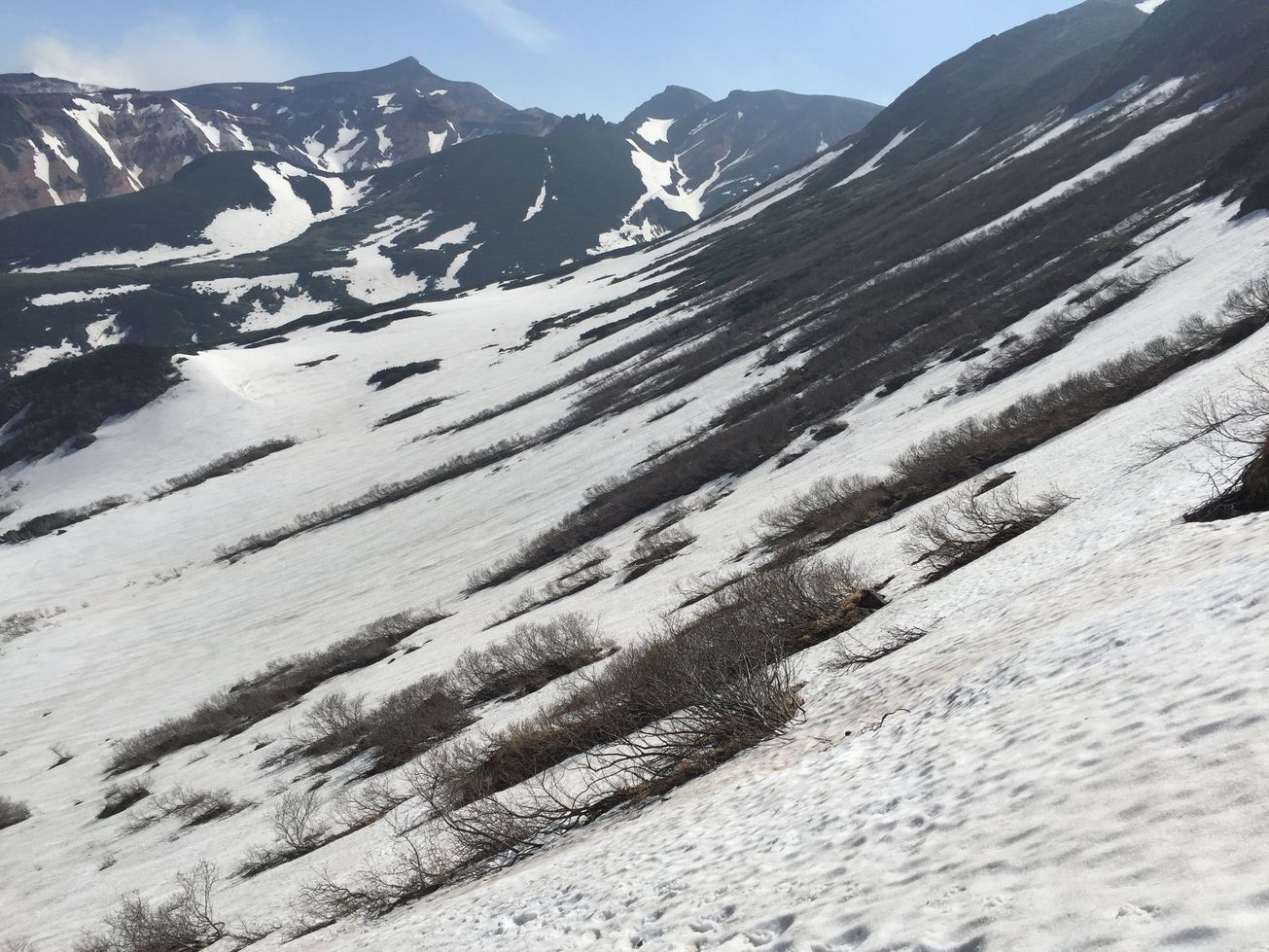 b0187142_22014527.jpg