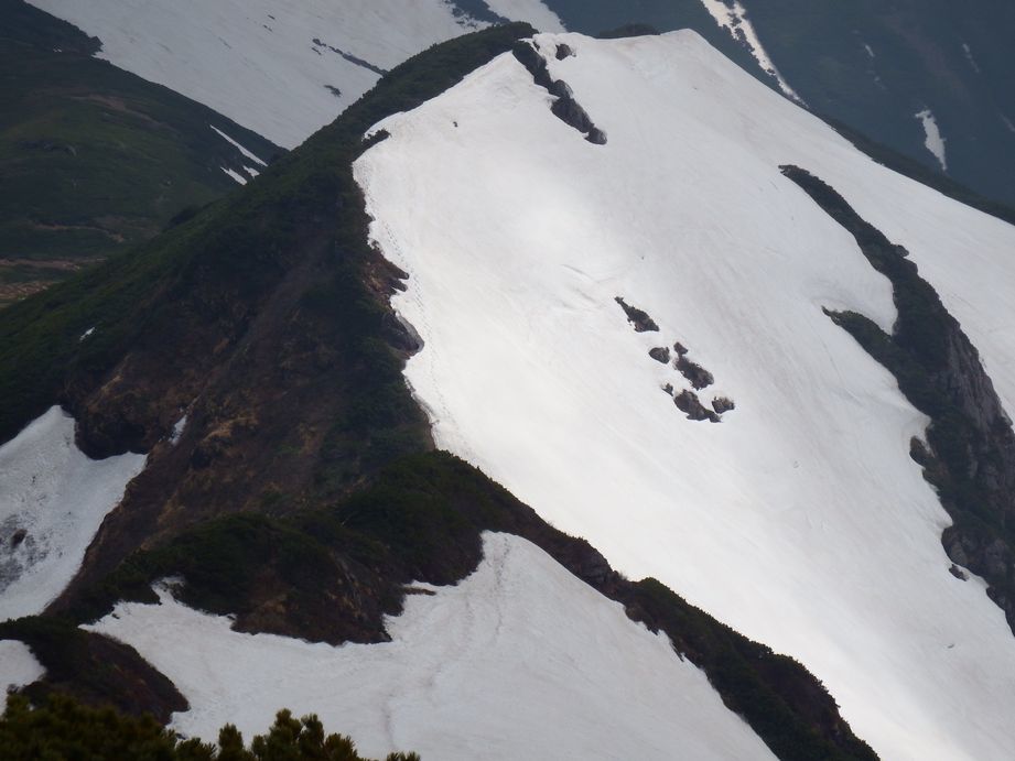 b0187142_22021622.jpg