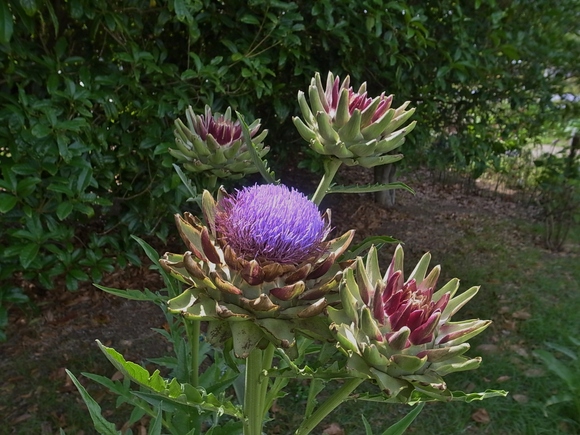 e0221148_18342713.jpg