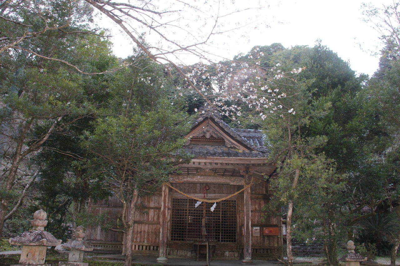 c0011649_10234092.jpg
