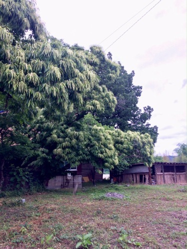 e0071652_07562095.jpg
