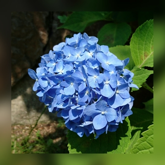 d0347253_09395533.jpg