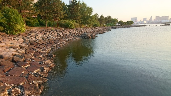d0347253_13103414.jpg