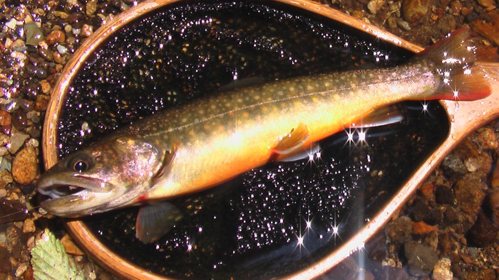 b0208961_16441649.jpg