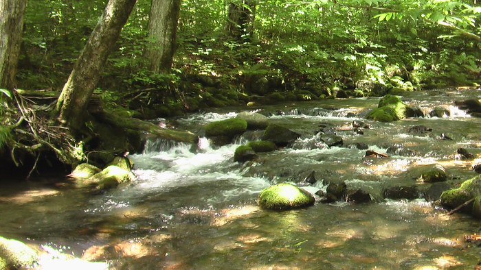 b0208961_16453774.jpg