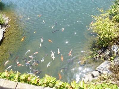 e0145467_20192289.jpg