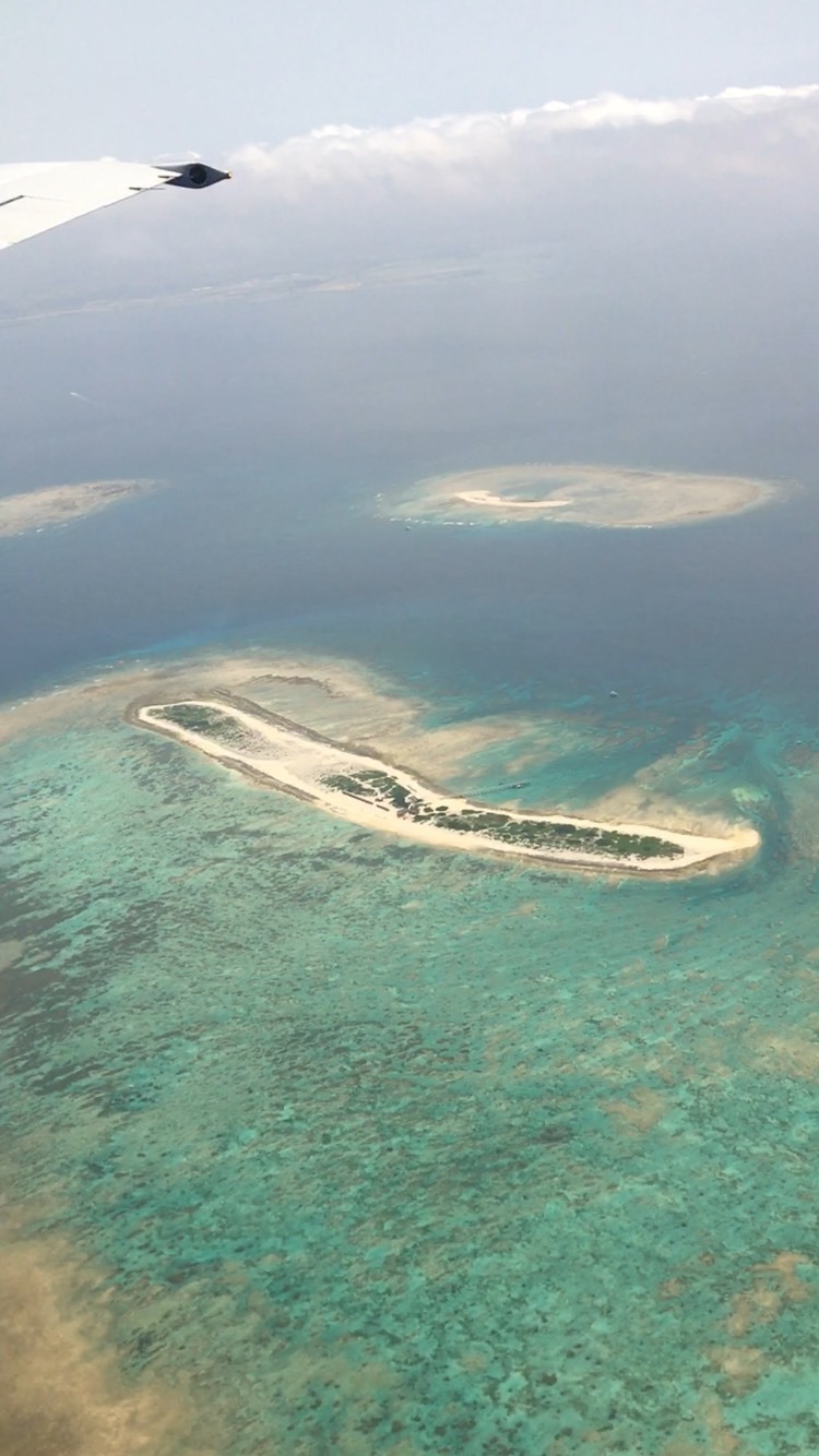 e0184067_08321437.jpg
