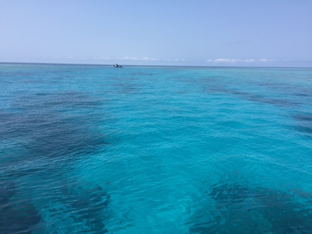 e0184067_08324097.jpg