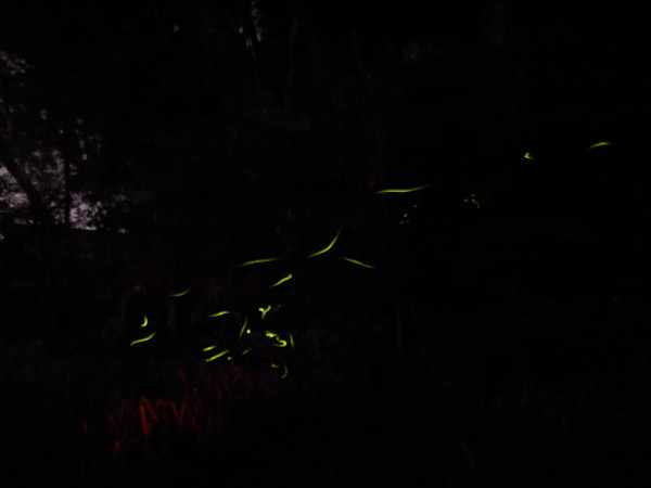 c0122670_09202360.jpg