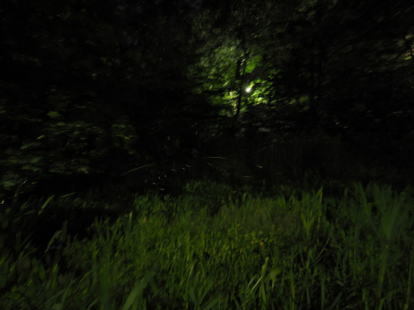 c0122670_09202418.jpg
