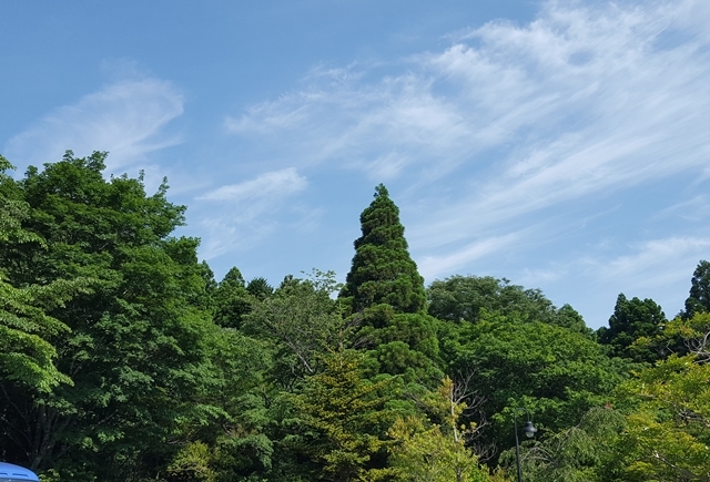 a0344593_21561048.jpg
