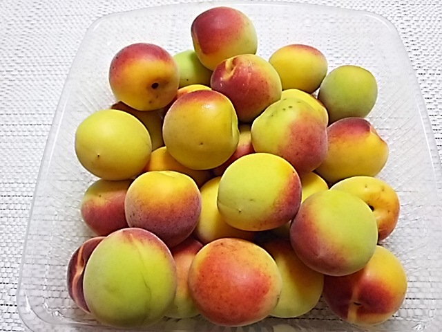 f0303594_23293470.jpg