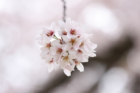 f0201297_09434779.jpg